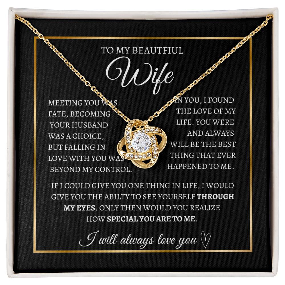 To my wife I Through my eyes