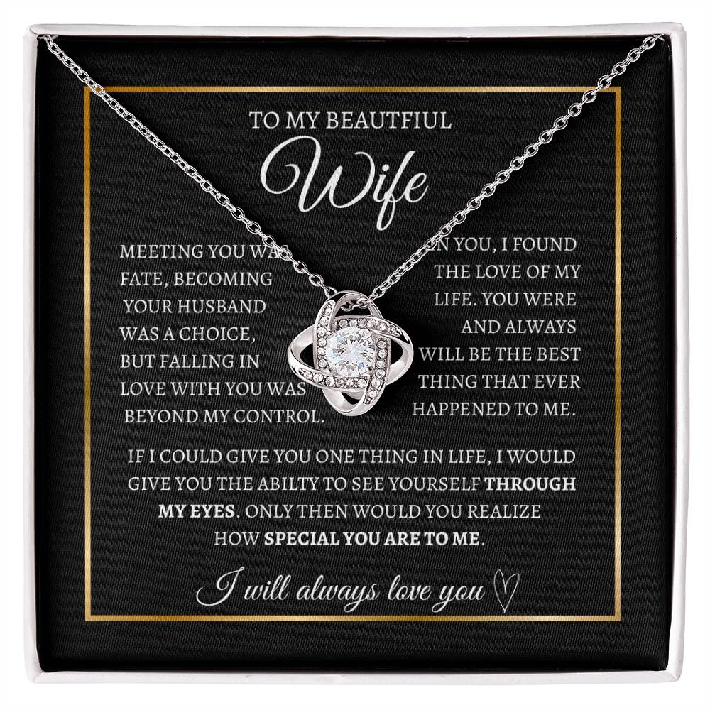 To my wife I Through my eyes