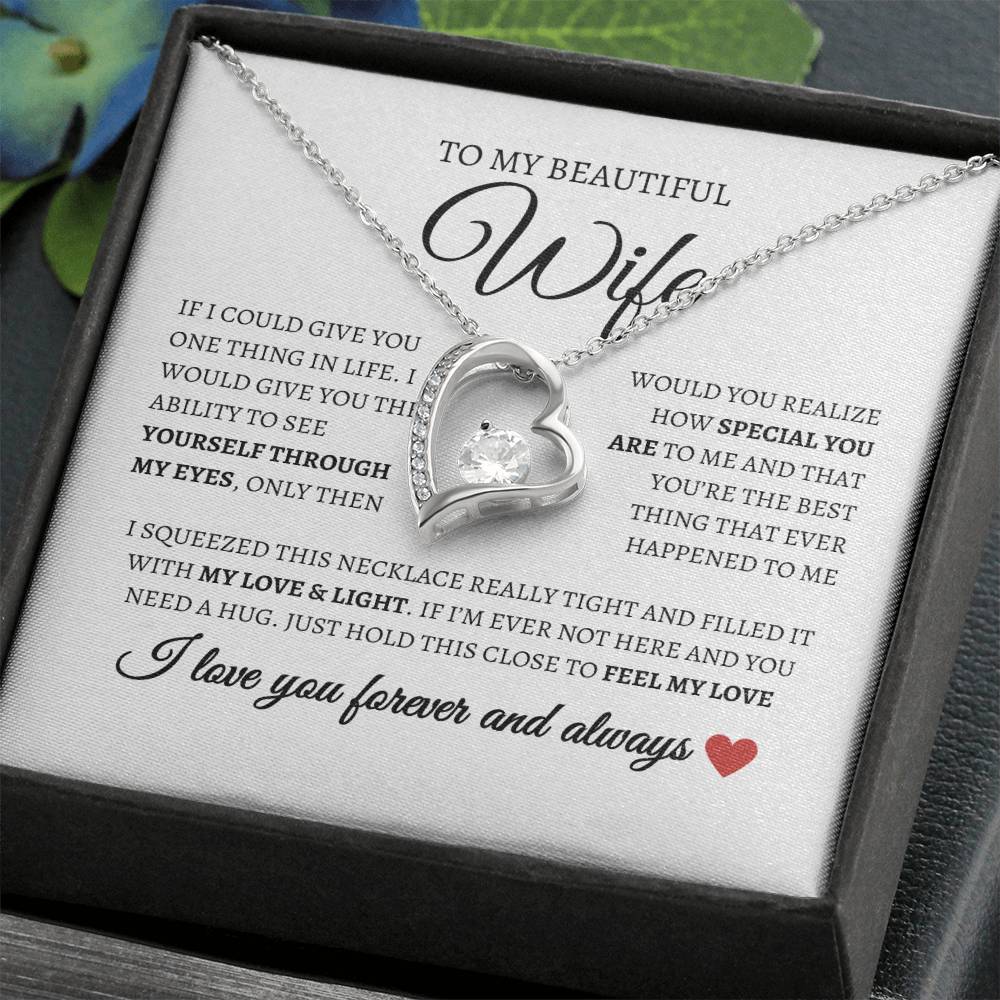 To my beautiful wife I I love you