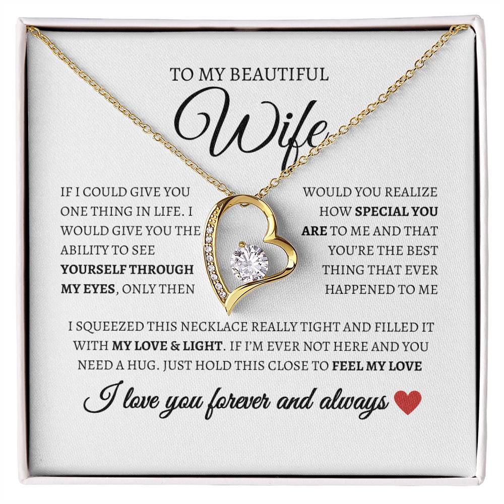 To my beautiful wife I I love you