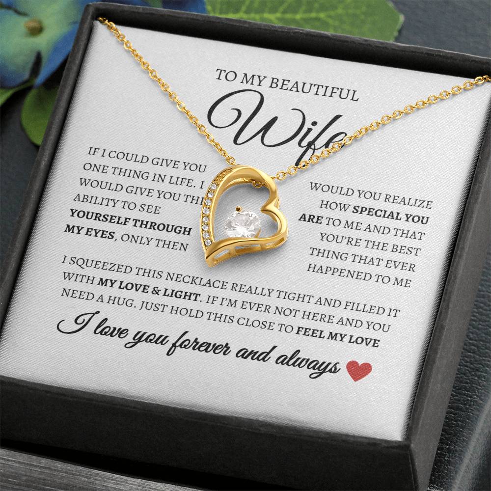 To my beautiful wife I I love you