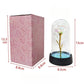 Galaxy Rose Flowers Valentines Day Gift for Girlfriend Eternal Rose LED Light Foil Flower Wedding Decor Christmas Gifts