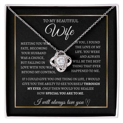 To my wife I Through my eyes
