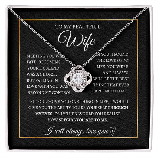 To my wife I Through my eyes